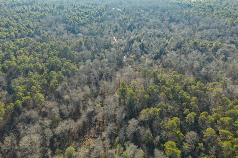 New Jersey Land Stewardship Learn About Restoring Land