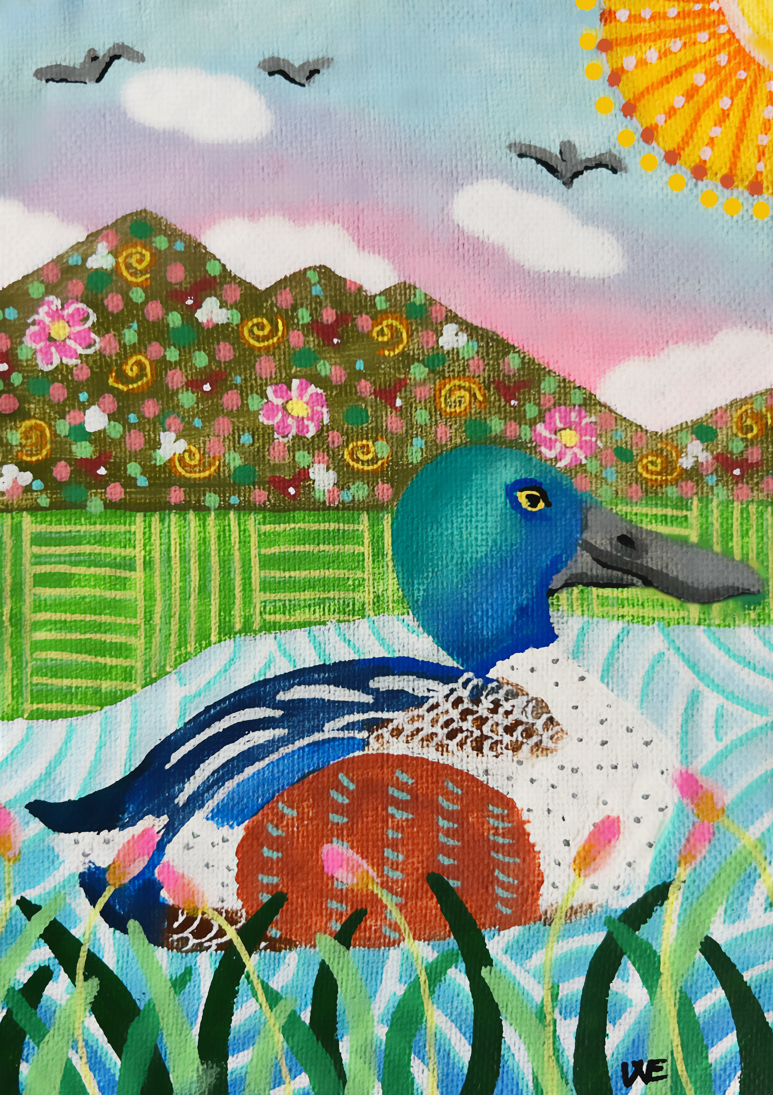 005 - Northern shoveler - Wanda España