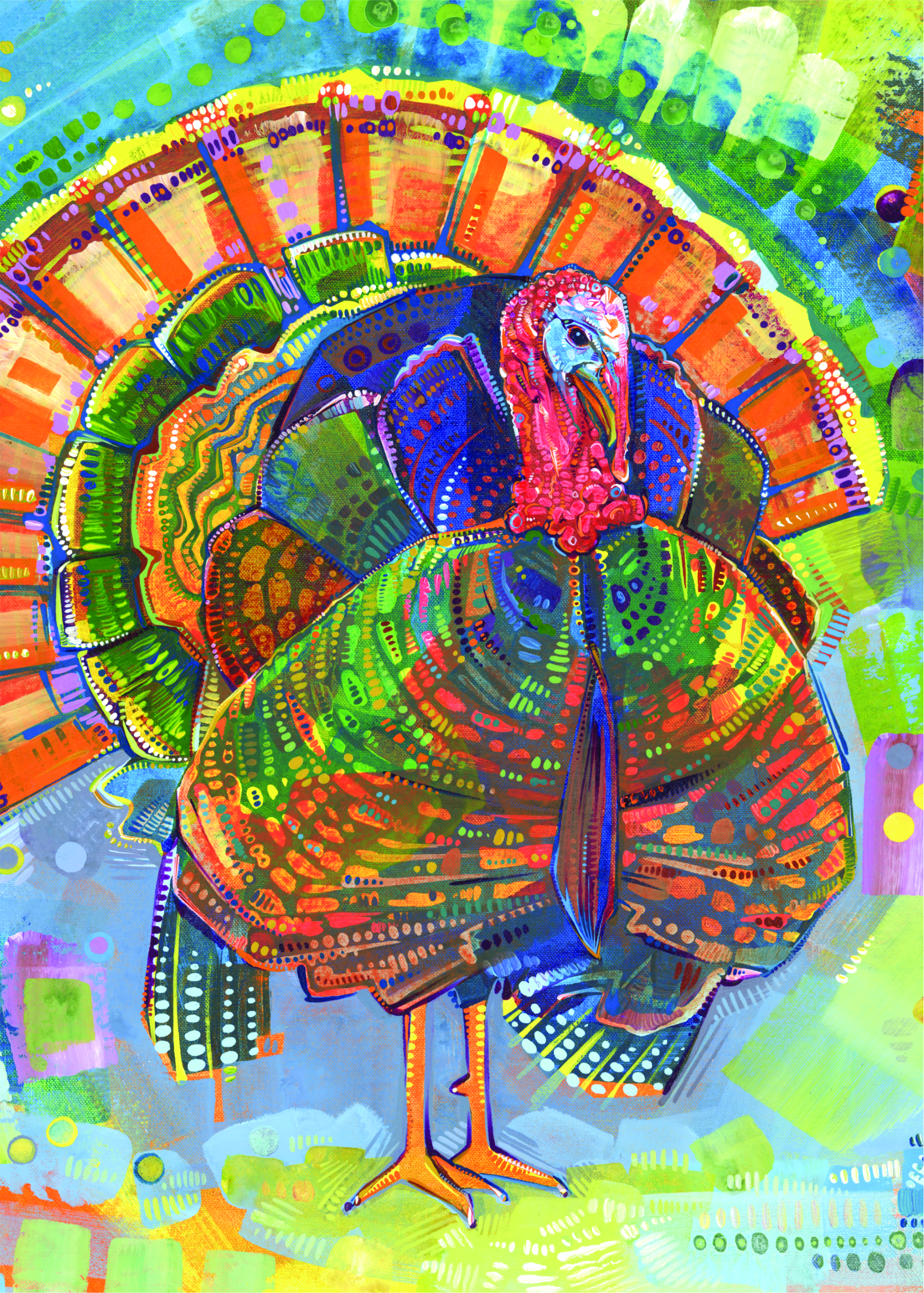 010 - Wild turkey - Gwenn Seemel