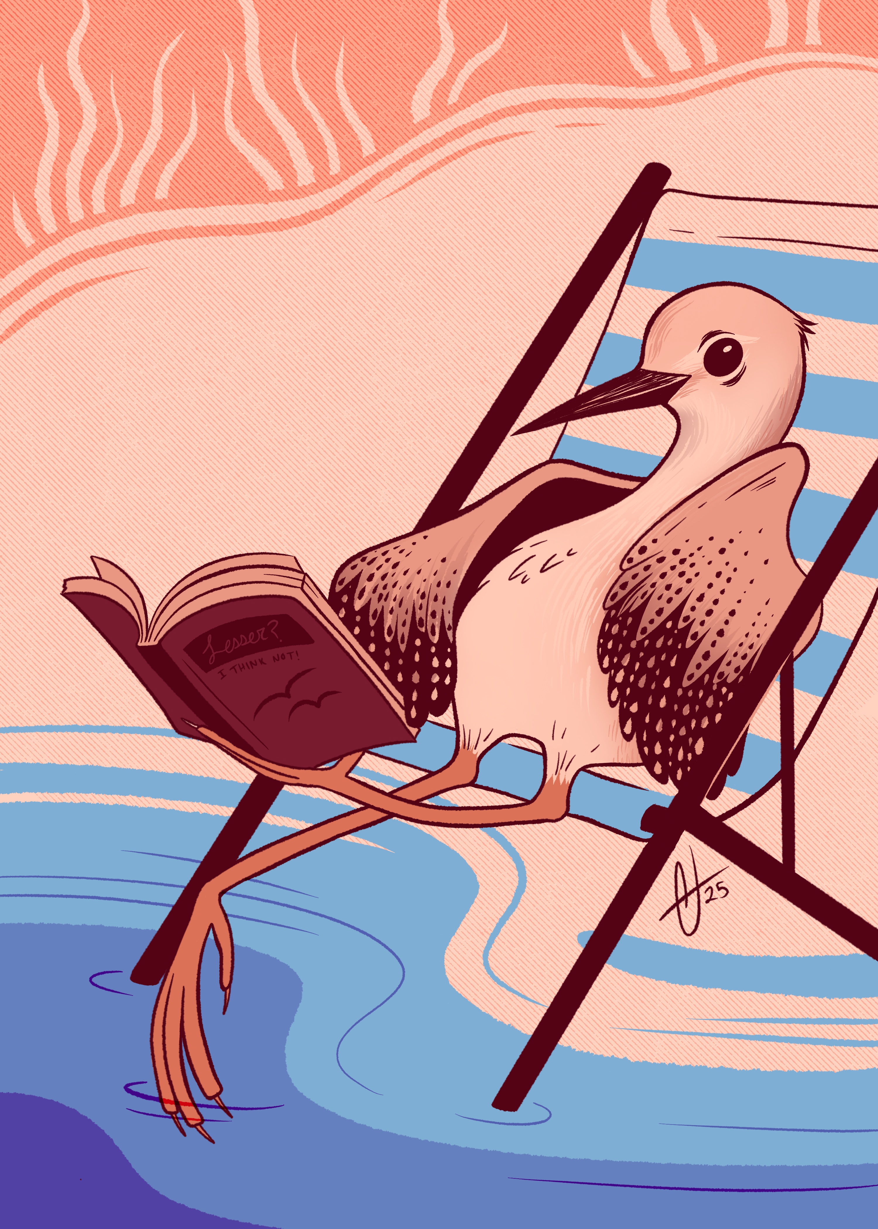 027 - Lesser yellowlegs - Amanda Jackapino