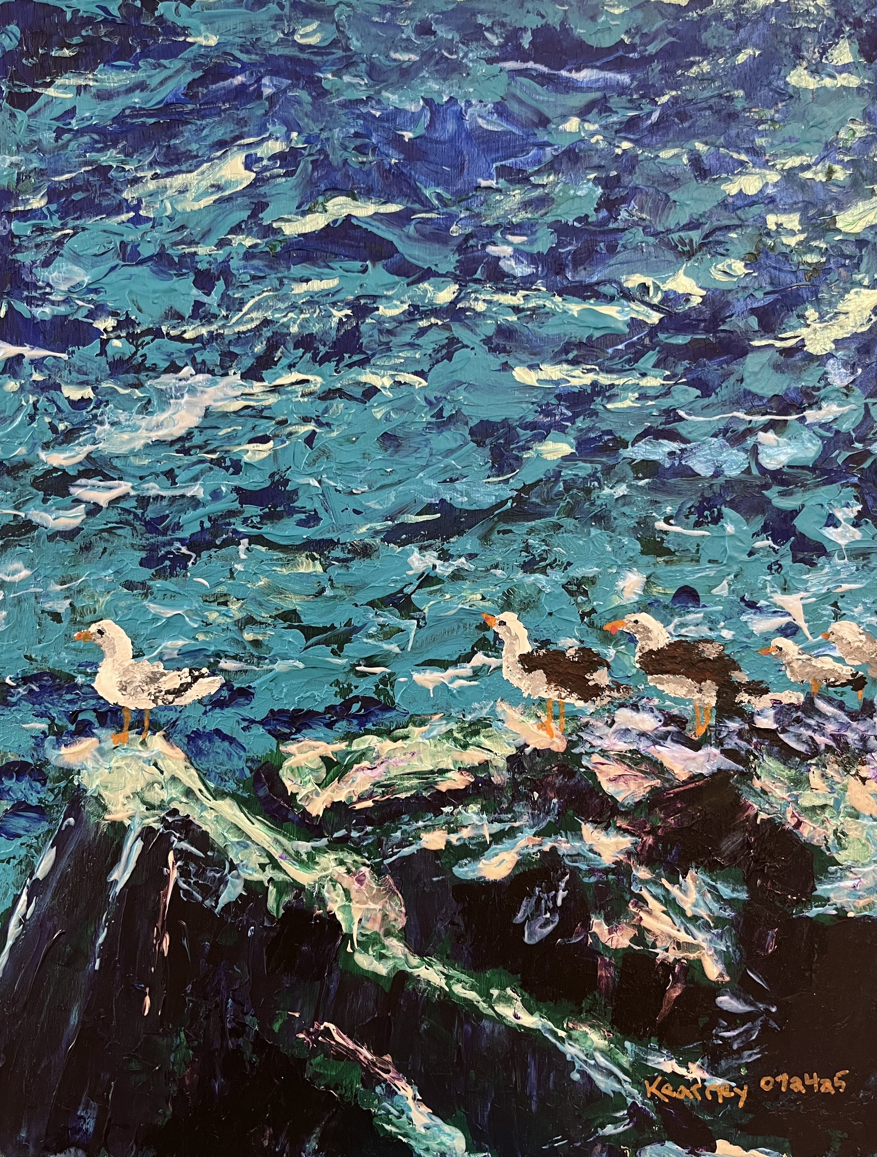 033 - Lesser black-backed gull - Beth Kearney