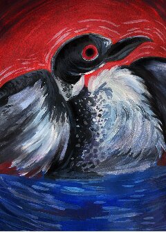 038 - Common loon - Molly _Bean_ Deming