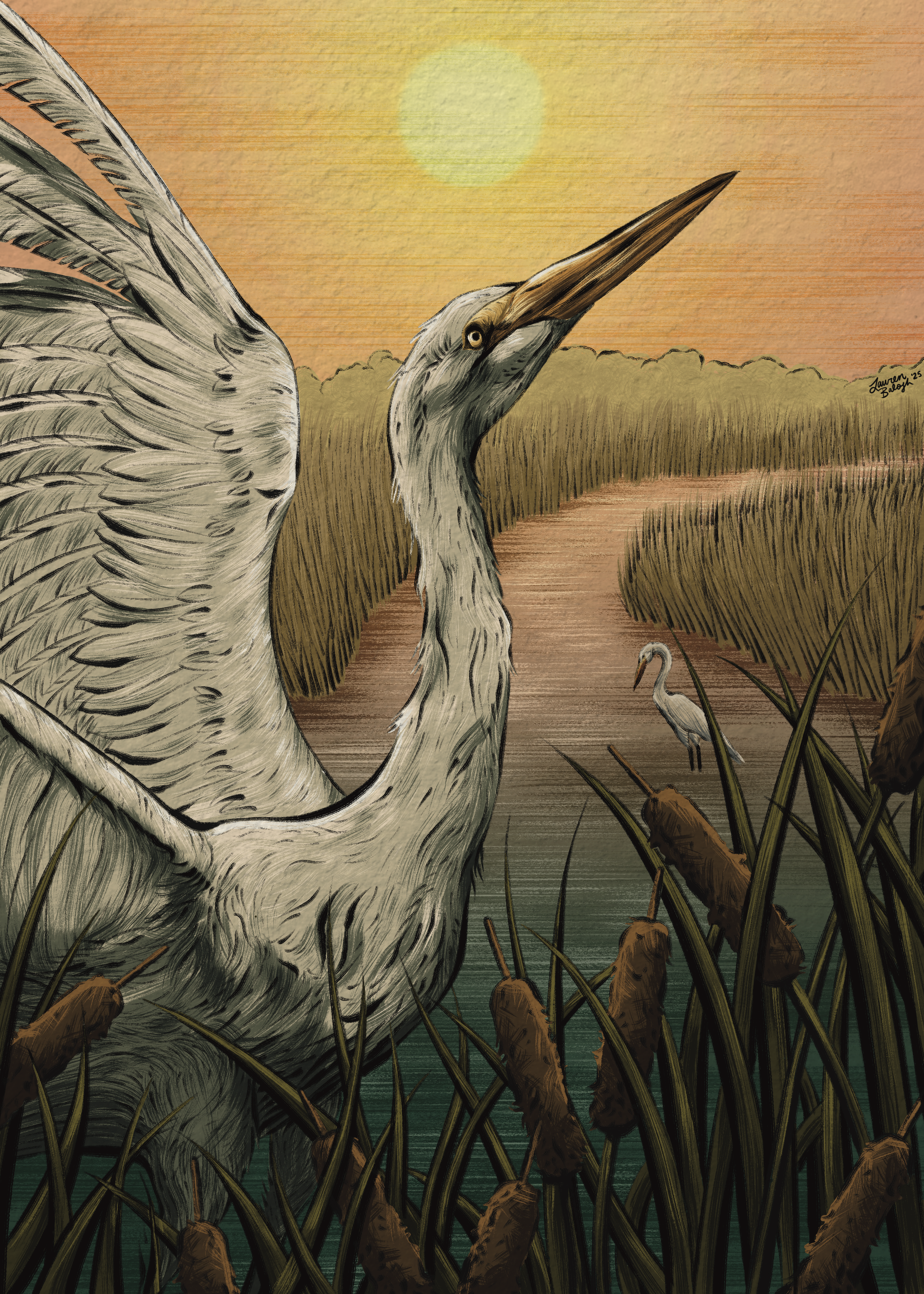 044 - Great egret - Lauren Balogh