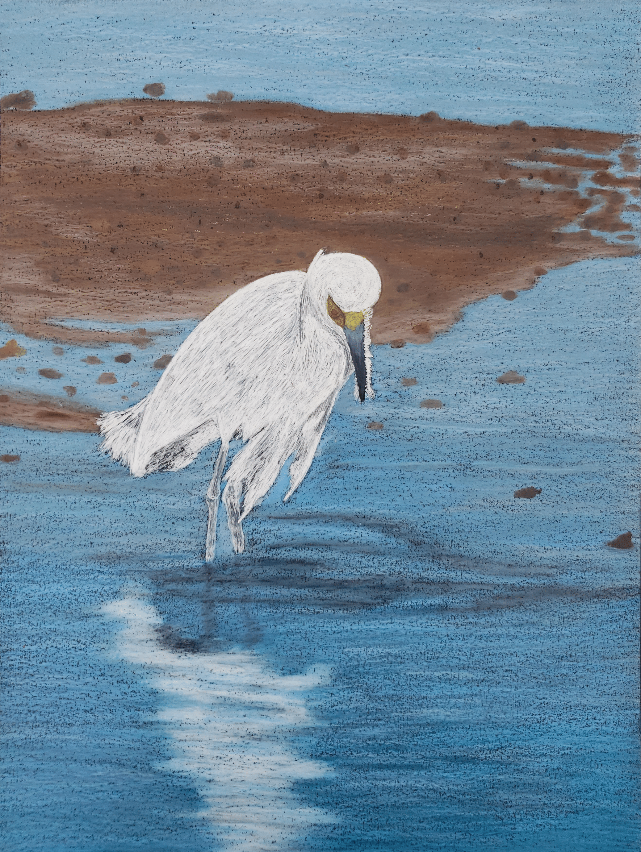 045 - Snowy egret - Wren Marigold