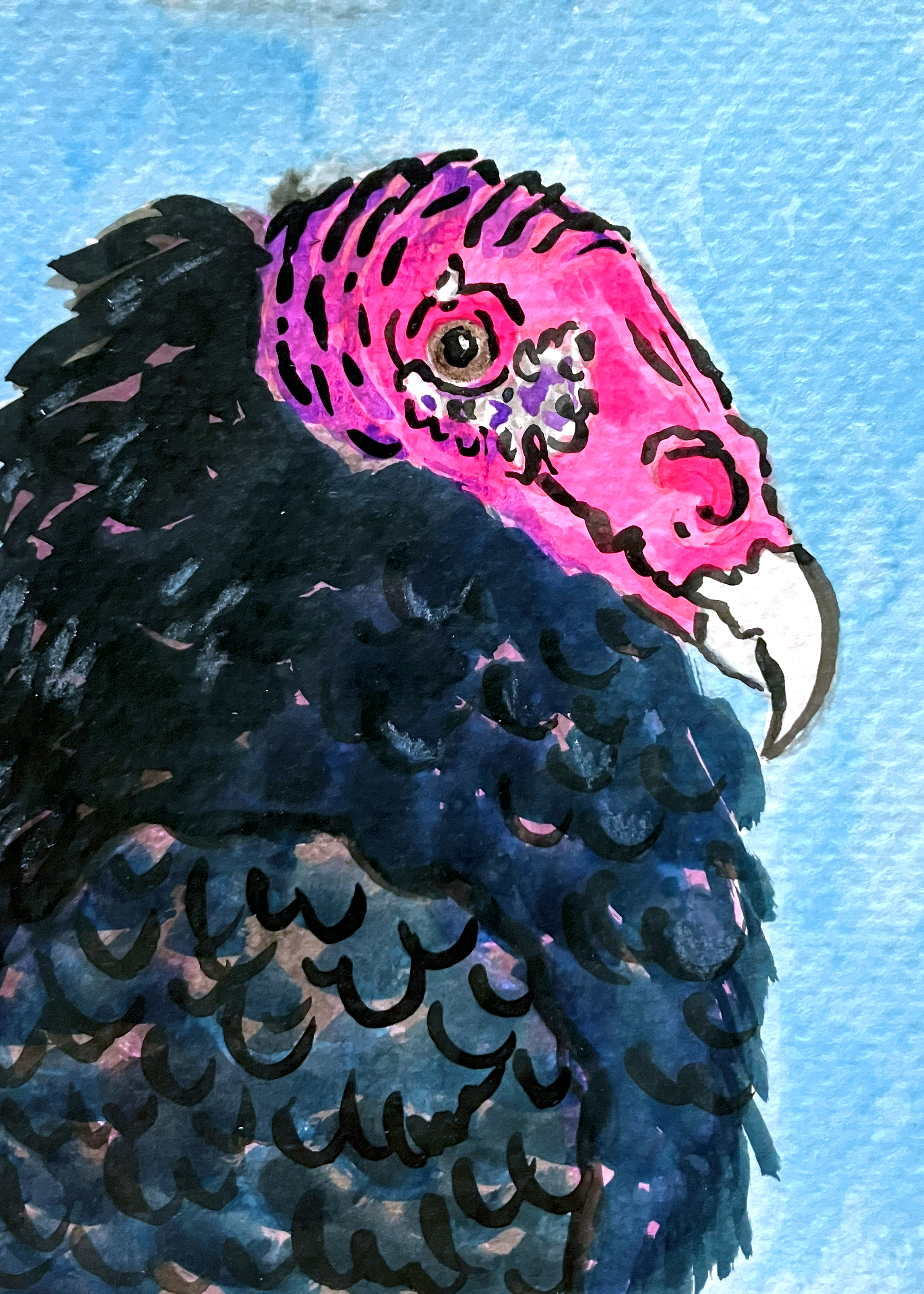 052 - Turkey vulture - Kate Eggleston