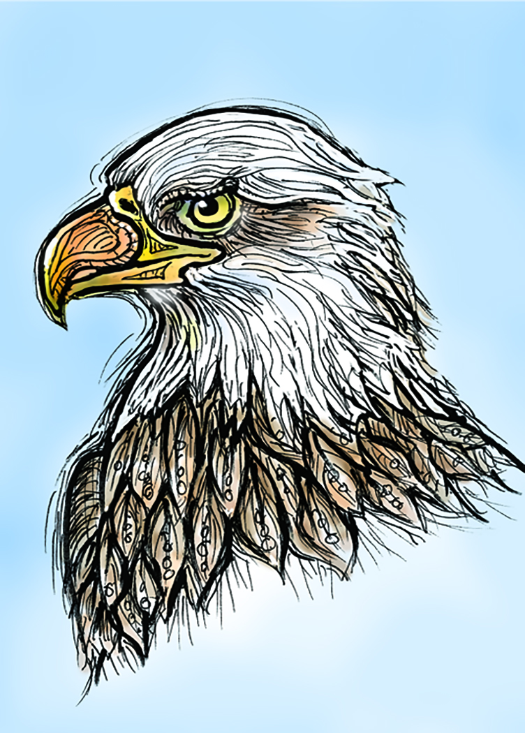057 - Bald eagle - Leslee Ganss