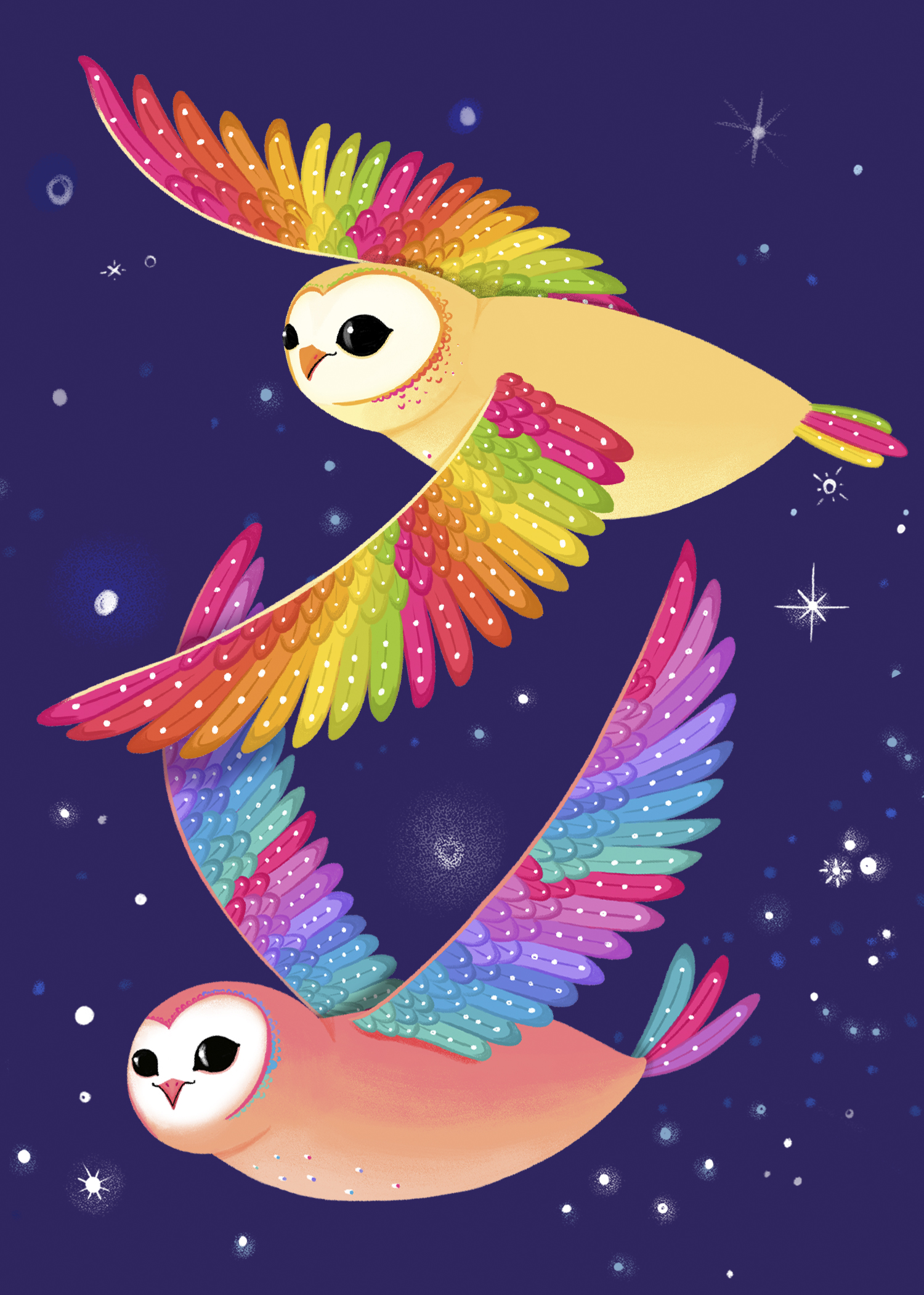 059 - American barn owl - Katy Tanis