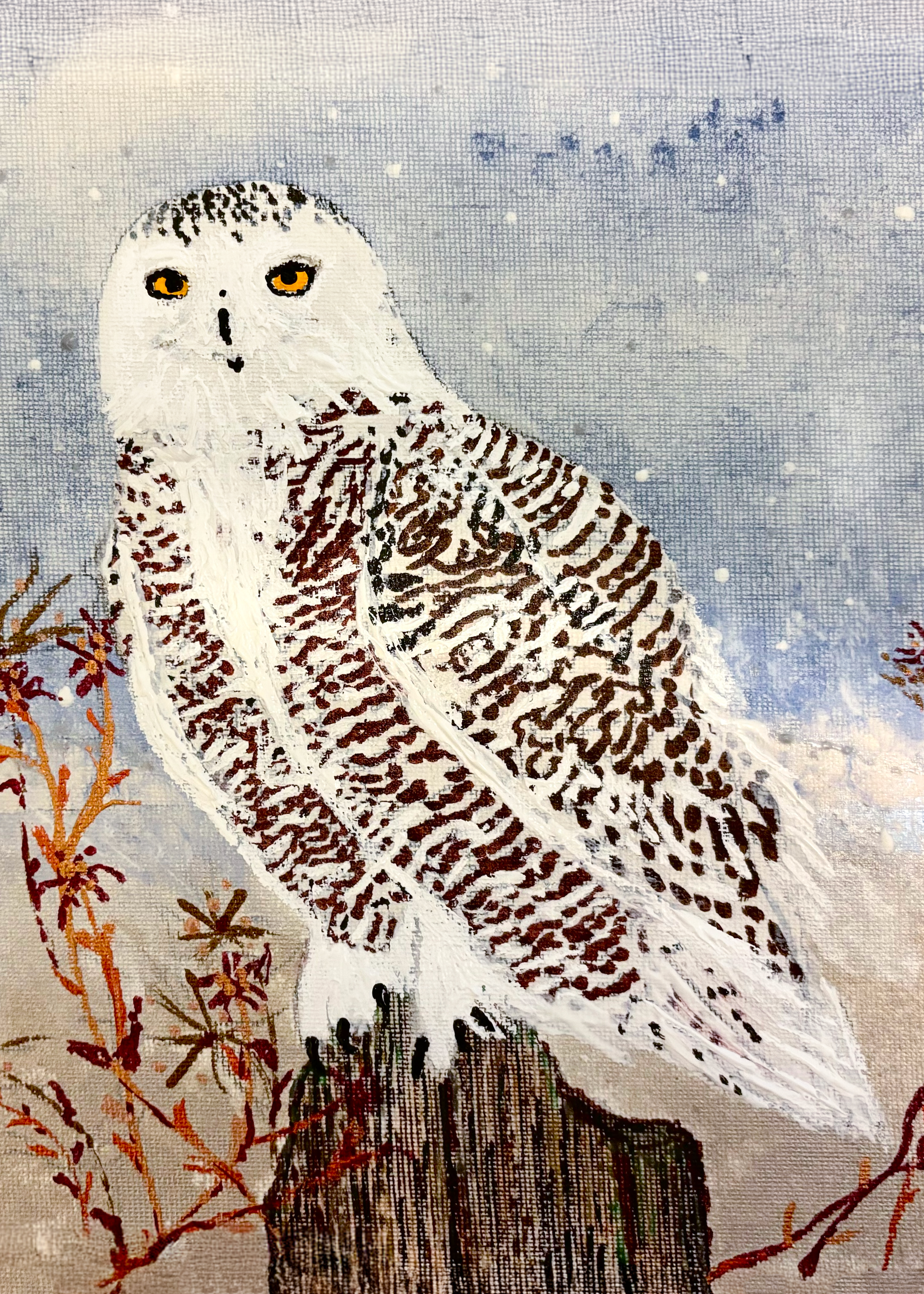 061 - Snowy owl - Erika Bleiberg
