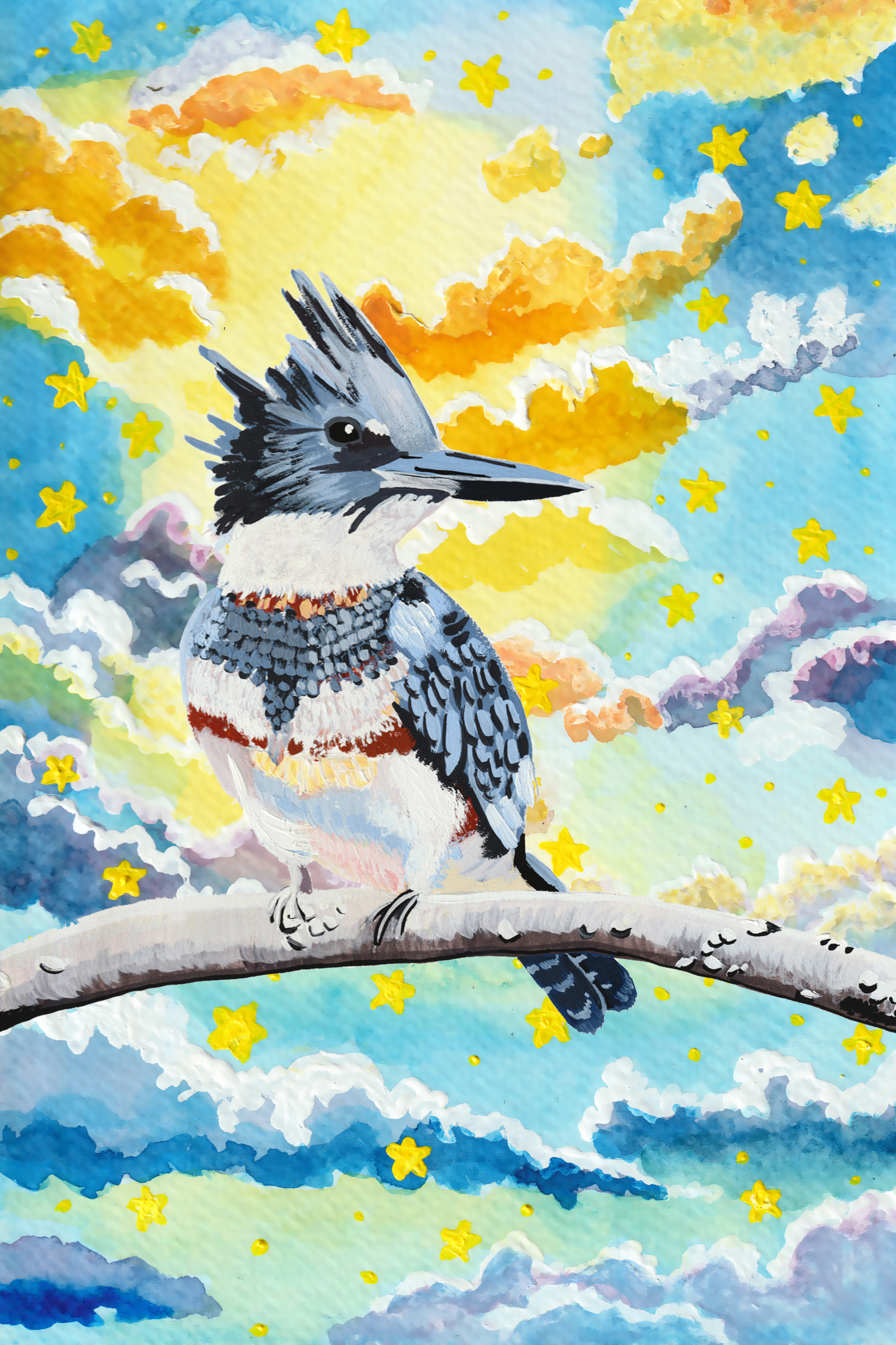 065 - Belted kingfisher - Katrina Eugenia