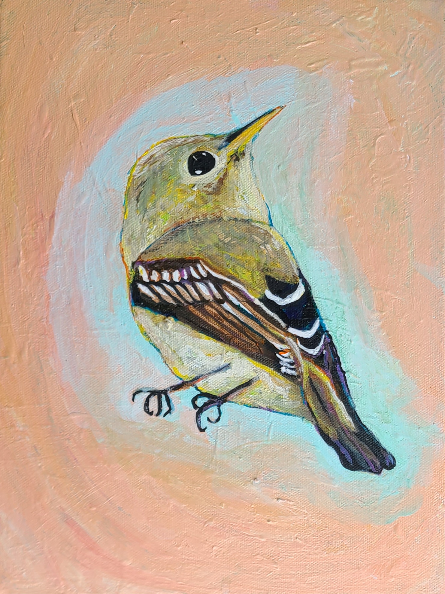 072 - Yellow-bellied flycatcher - Kristen Andersen