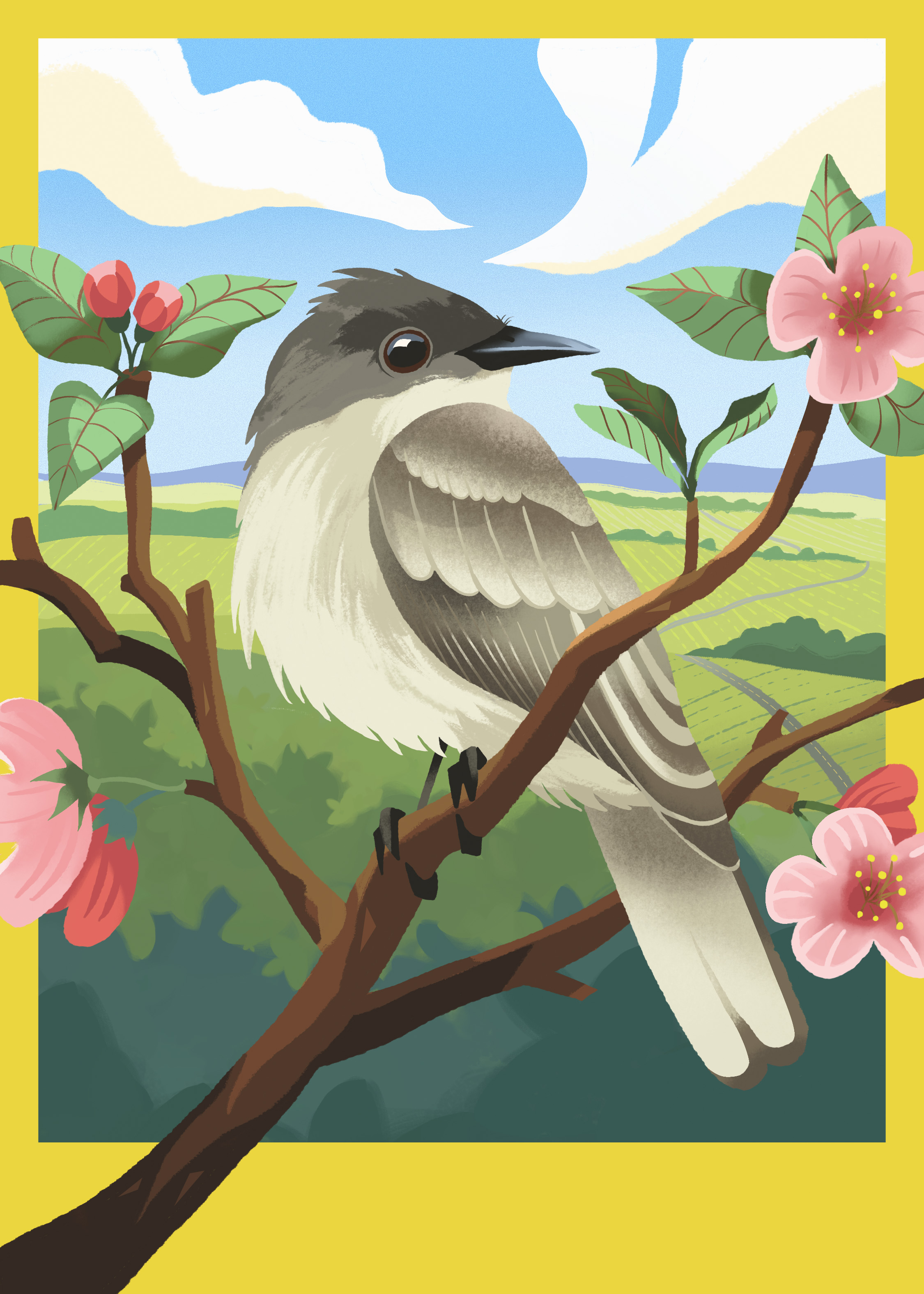 074 - Eastern phoebe - Libby Kercher