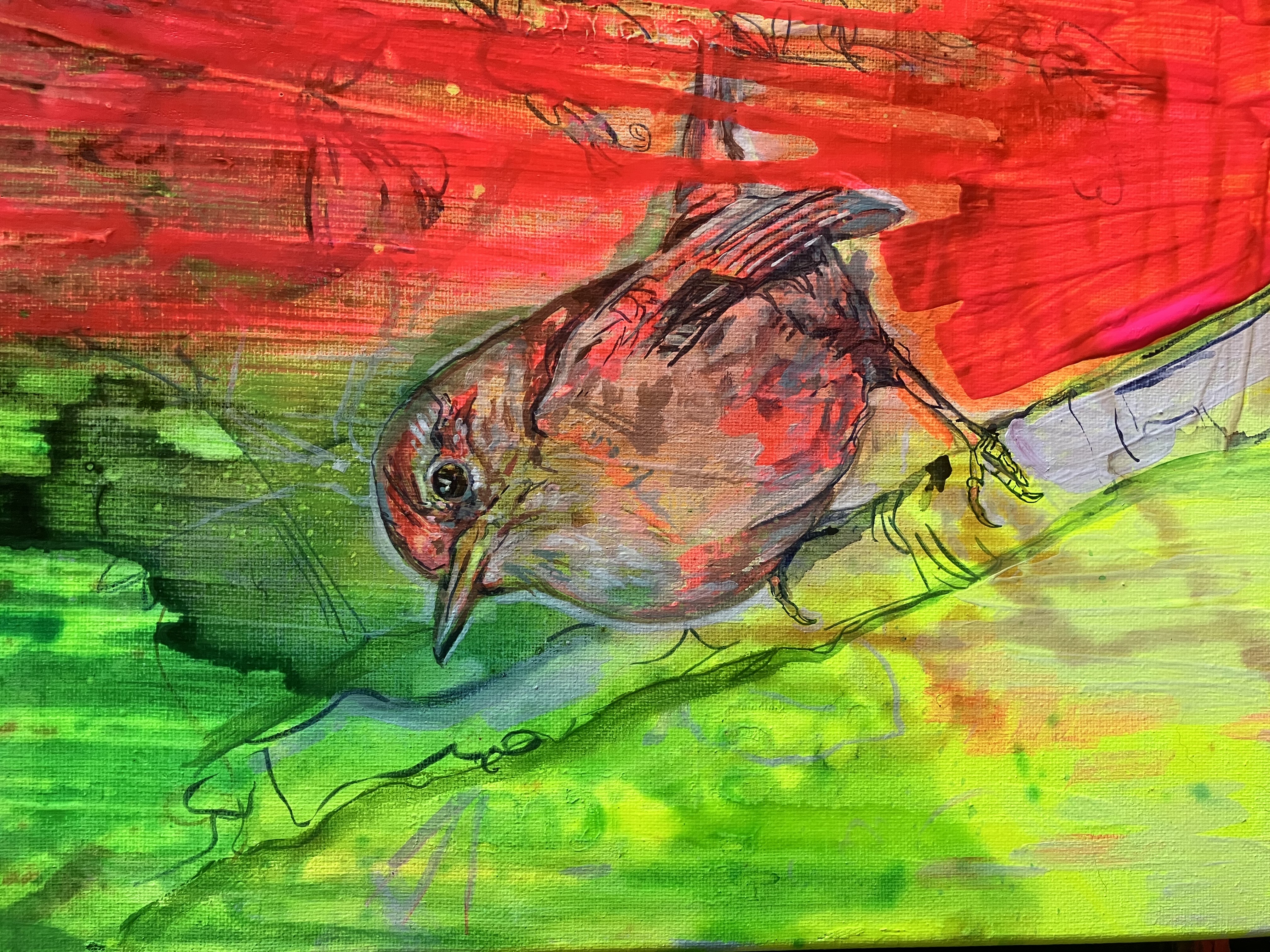 083 - Winter wren - Mandy Schonzeit