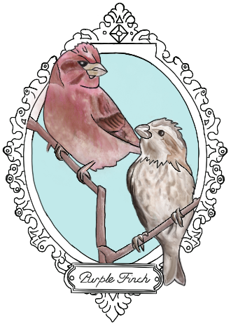 088 - Purple finch - Ebeth Palamara