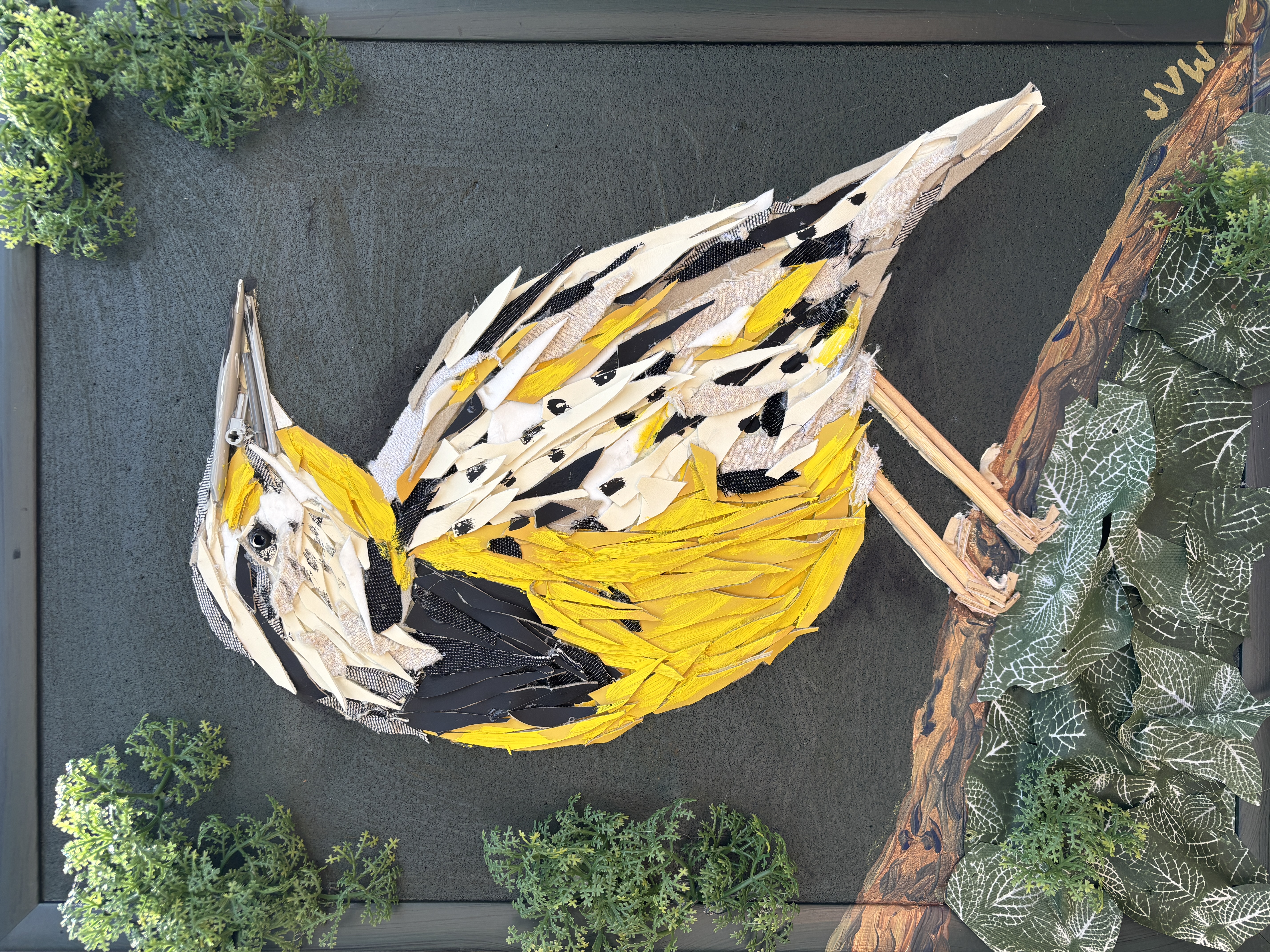 098 - Eastern meadowlark - Julia Virginia Win