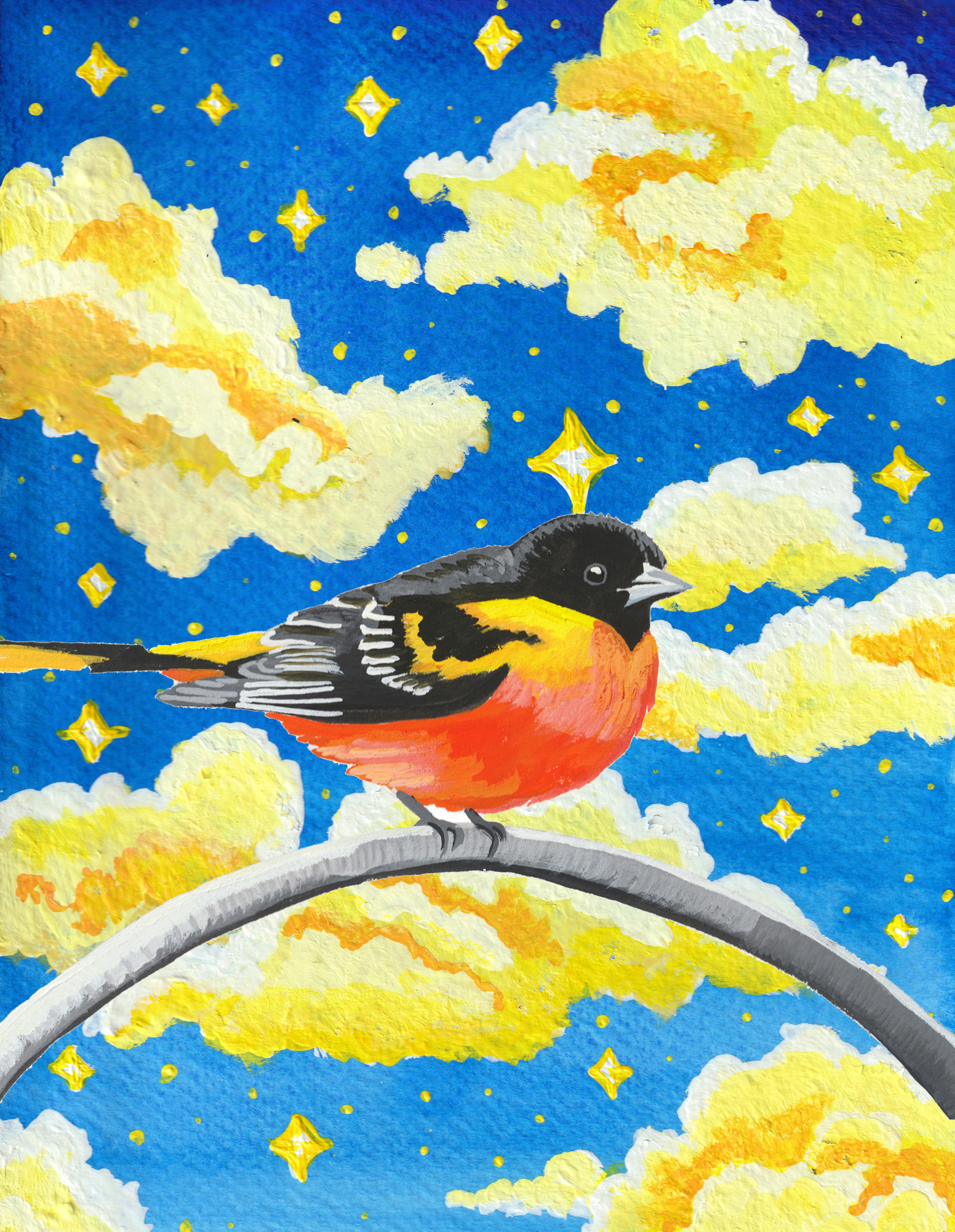 099 - Baltimore oriole - Katrina Eugenia