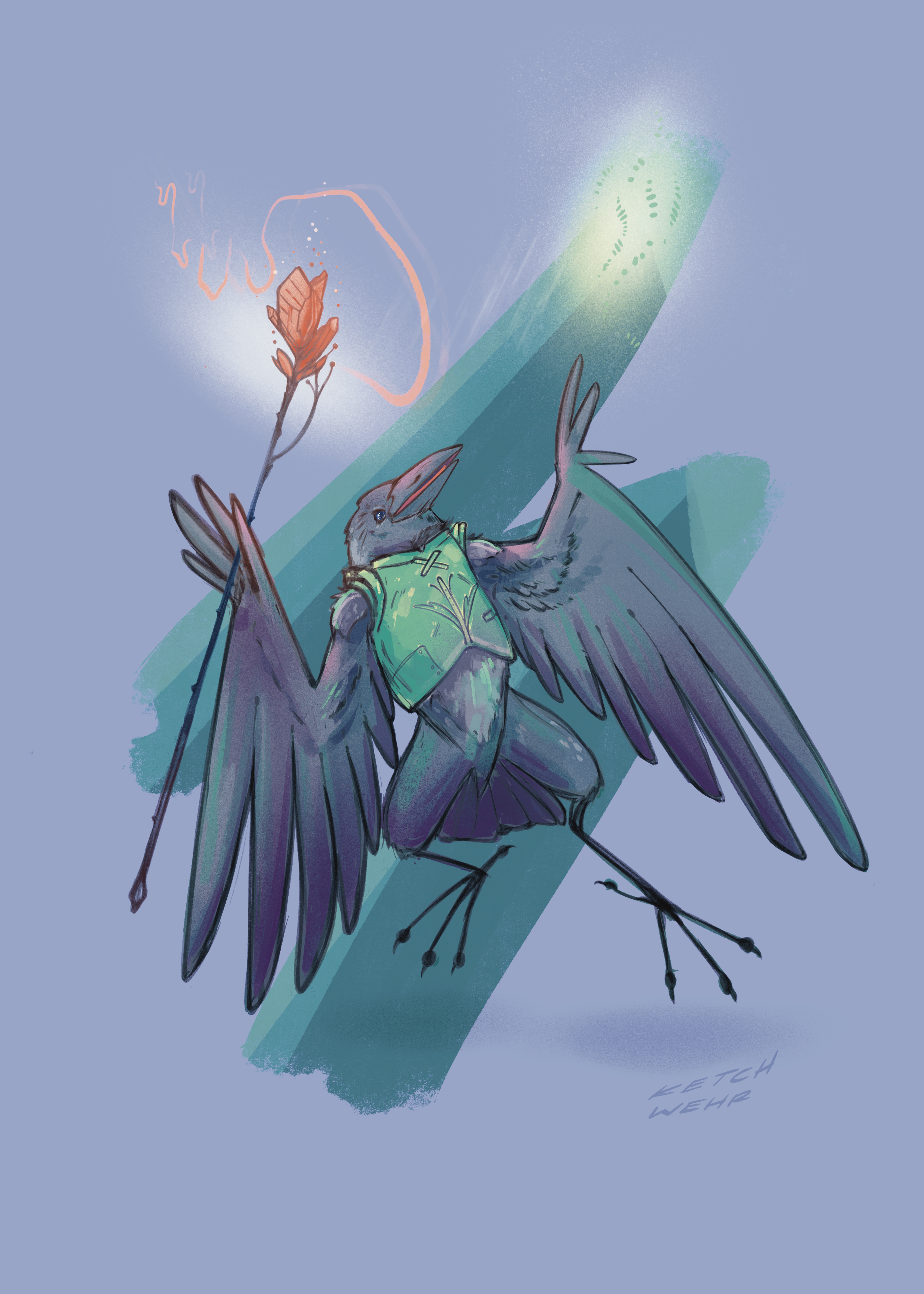 103 - Boat-tailed grackle - Ketch Wehr