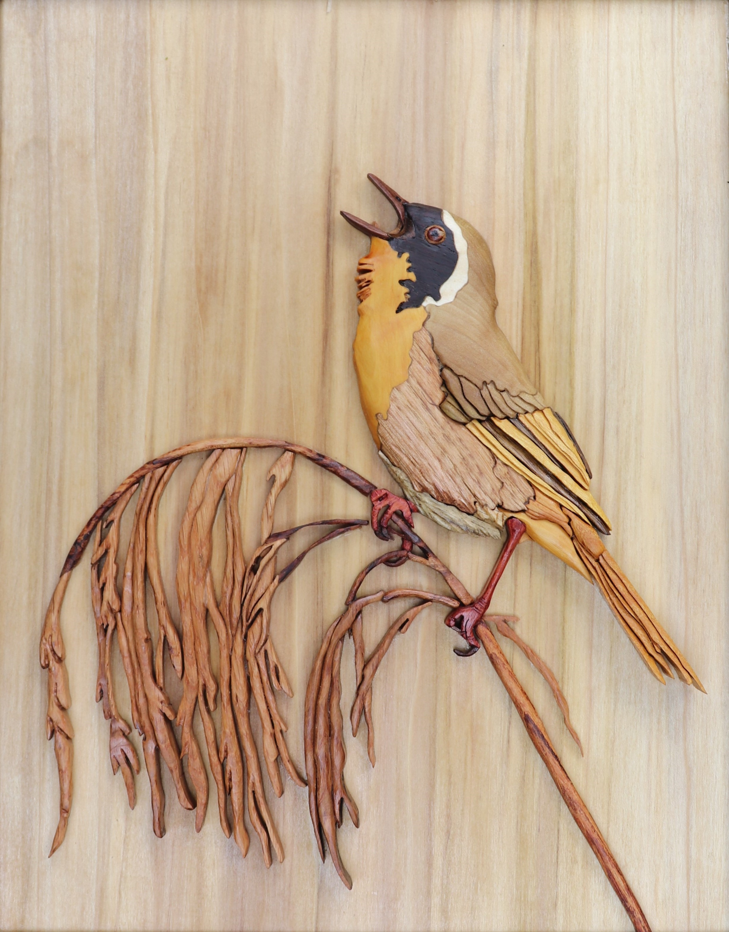 109 - Common yellowthroat - Christina Mulligan