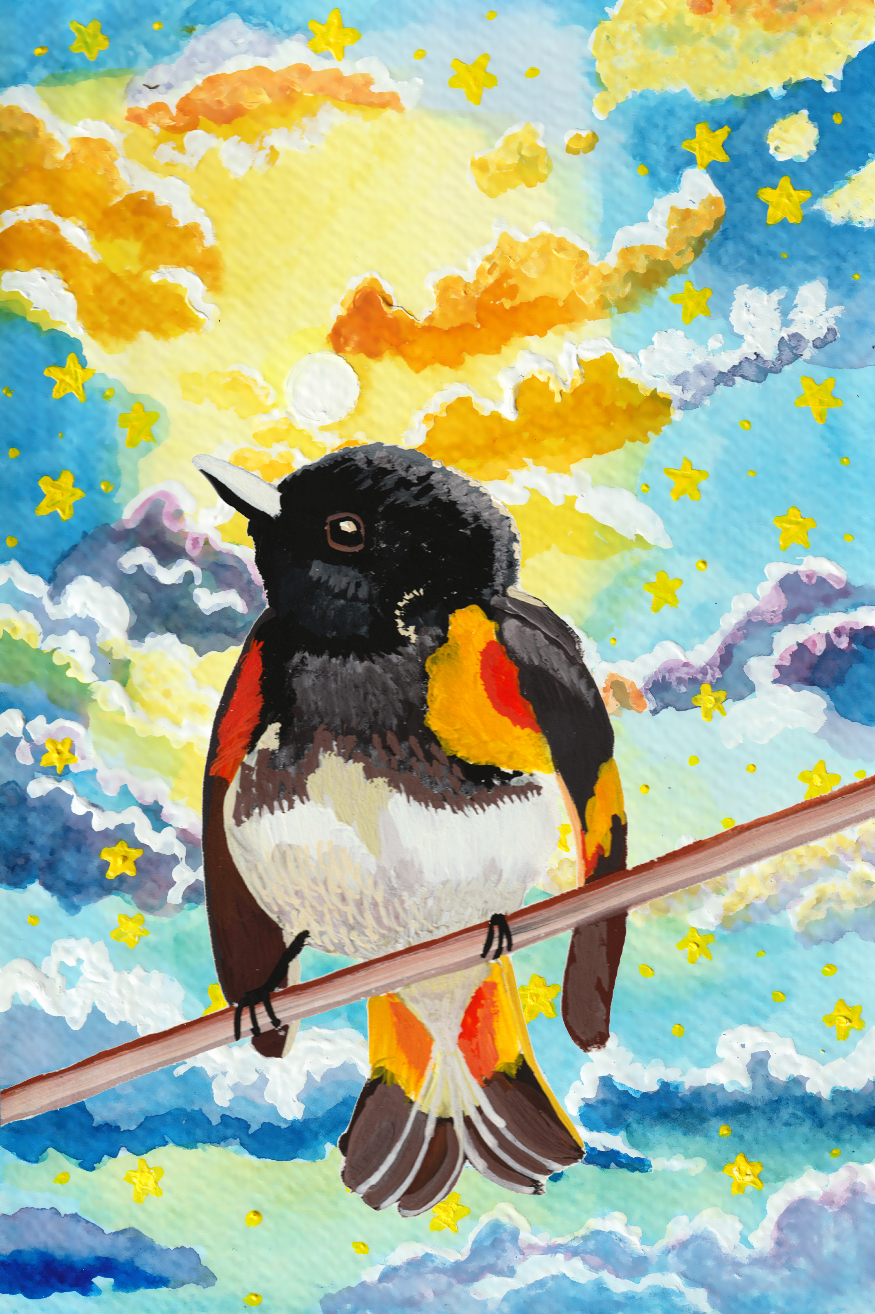 111 - American redstart - Katrina Eugenia