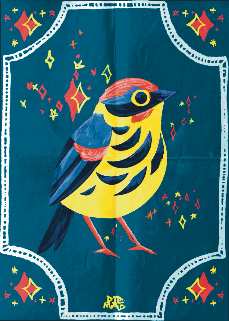 115 - Magnolia Warbler - Levi LoCascio-Seward