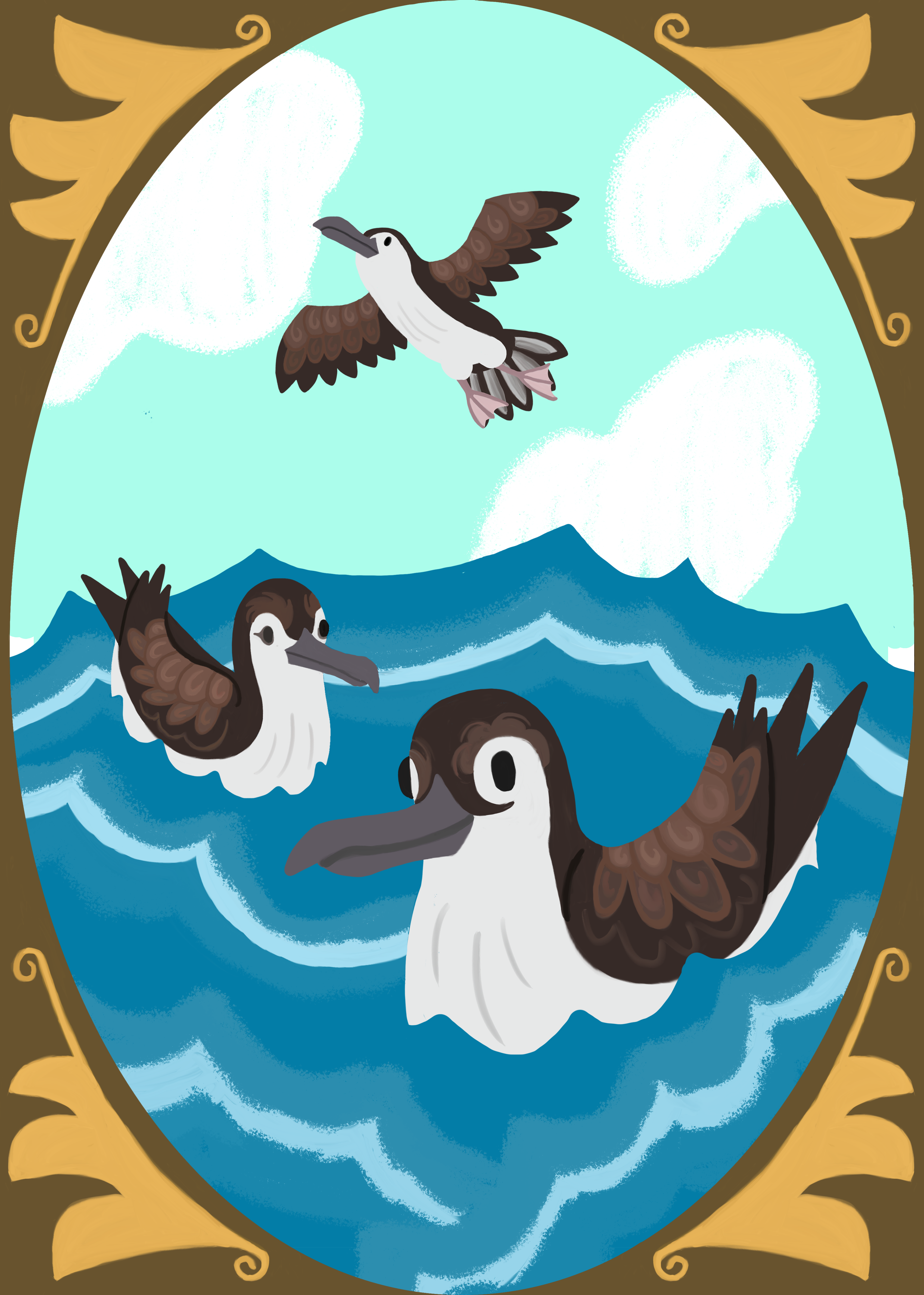 XXXXX 039 - Sargasso shearwater - Patrick Doonan