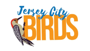 Screenshot 2026-03-27 114621