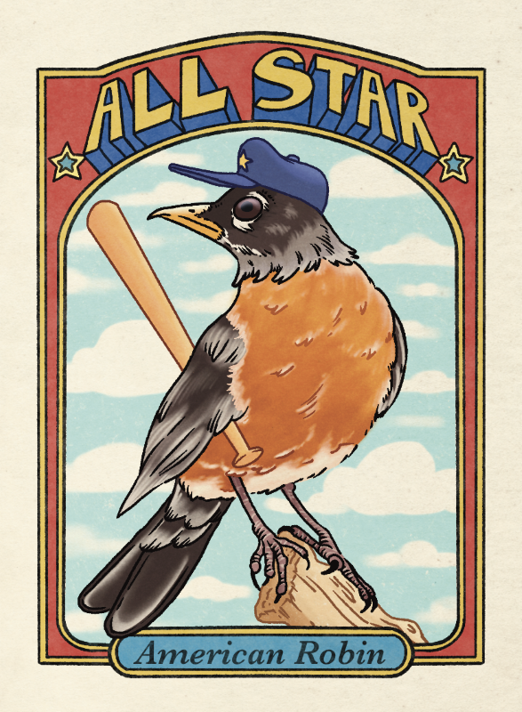 American Robin - Quinn Leary