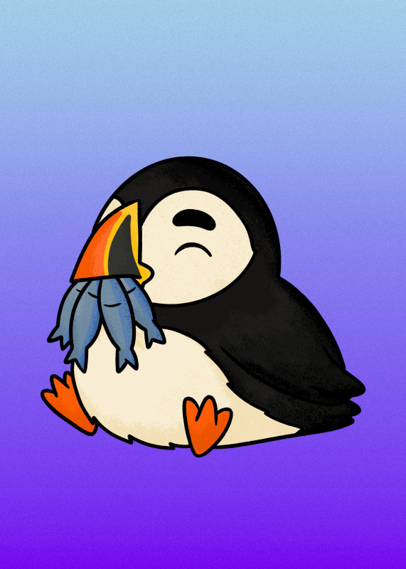 Atlantic puffin - Nafeeza Hassan
