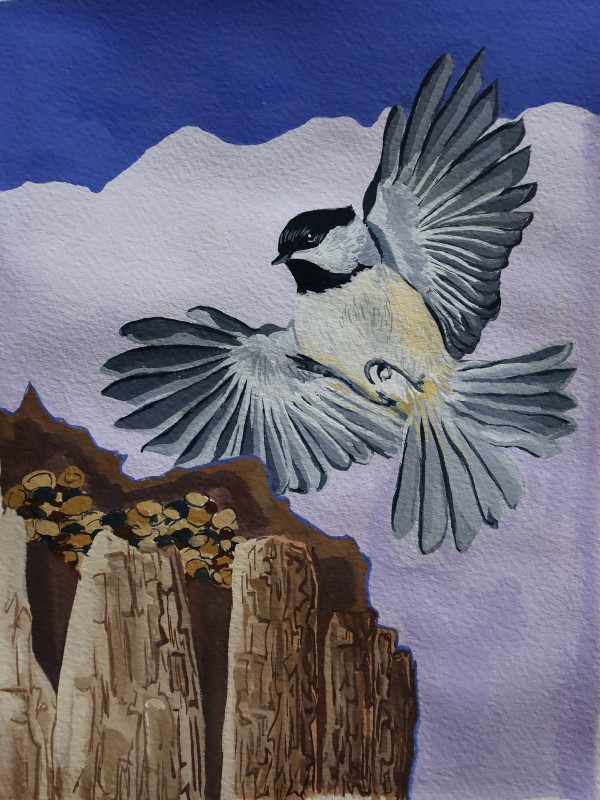 Black-capped chickadee - Nina Tan