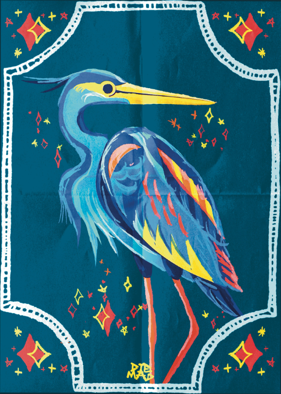Great blue heron - Levi LoCascio-Seward
