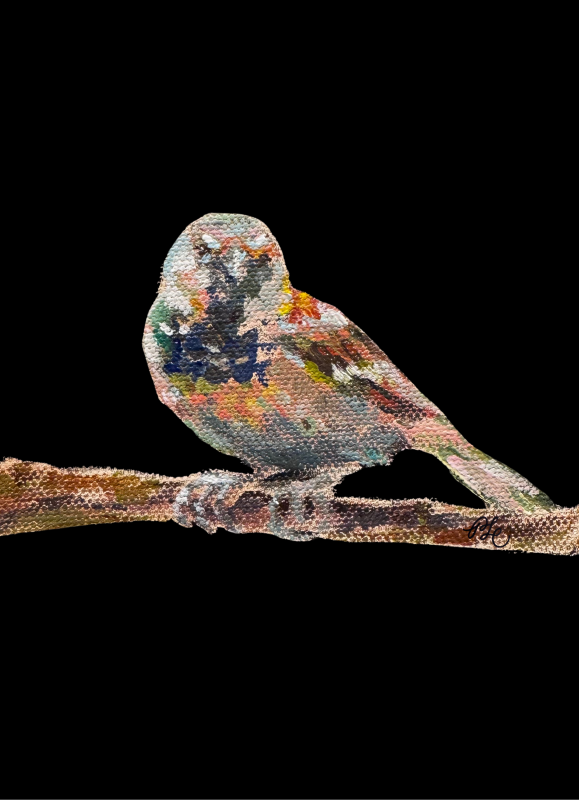 House sparrow - Pearl Lui