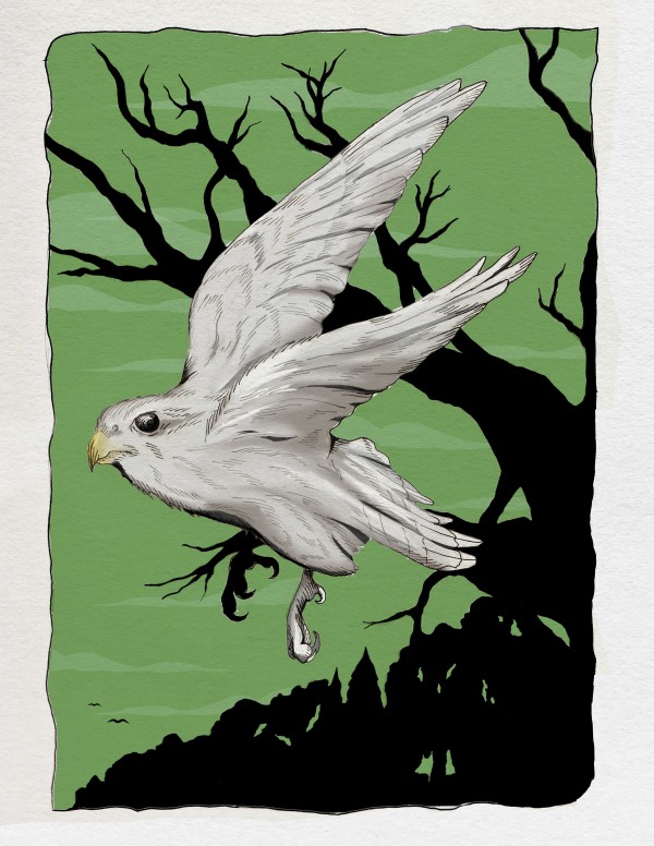 Merlin - Miguel Cook