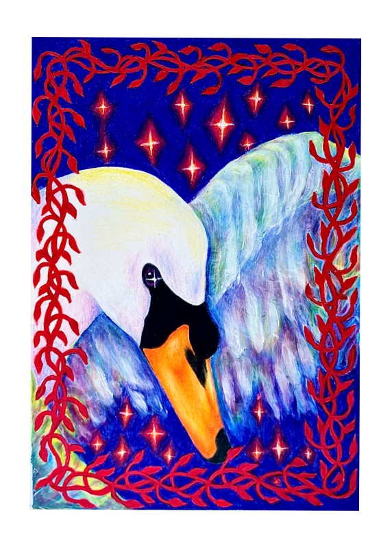Mute swan - Margot Whalen