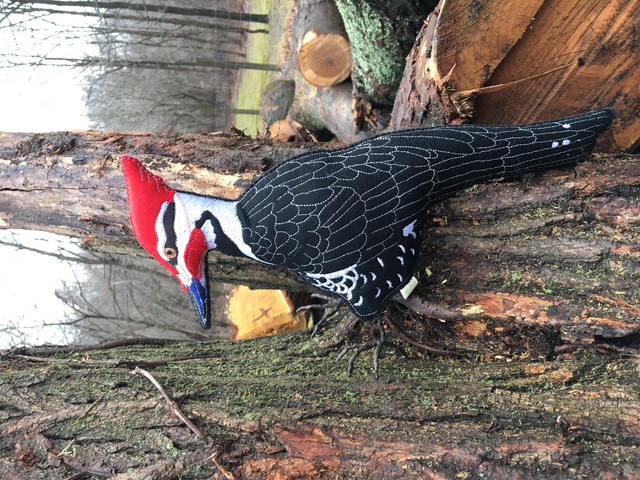Pileated woodpecker - Lisa Hess