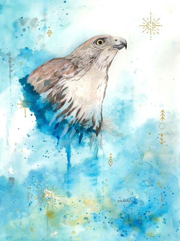 Red-tailed hawk - Katie Della Terza