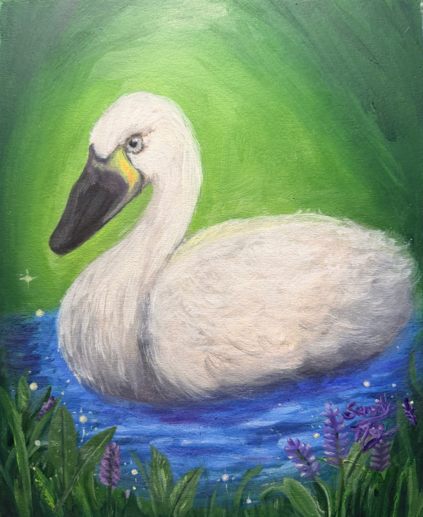 Tundra Swan - Meg Cocho