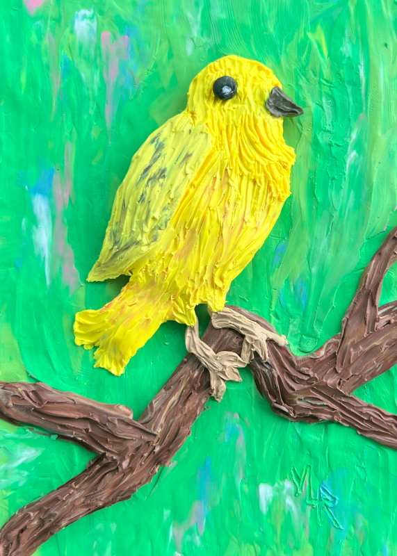 Yellow warbler - Veda Rouze